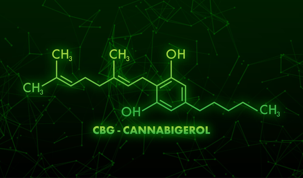 Vad är CBG ? Allt om Cannabigerol